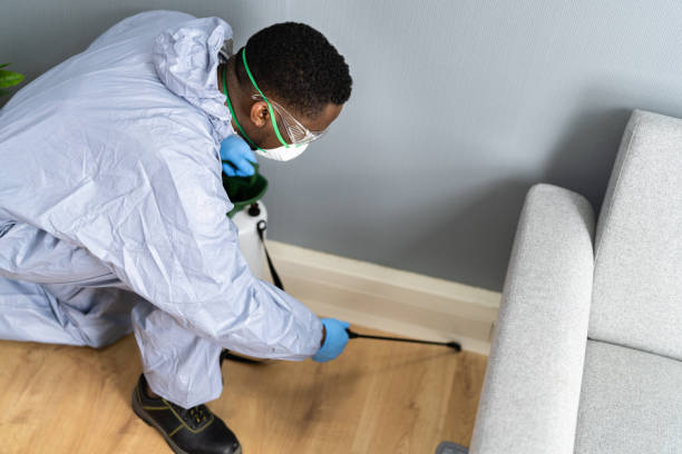 Real Estate Pest Inspections in Pottsville, PA